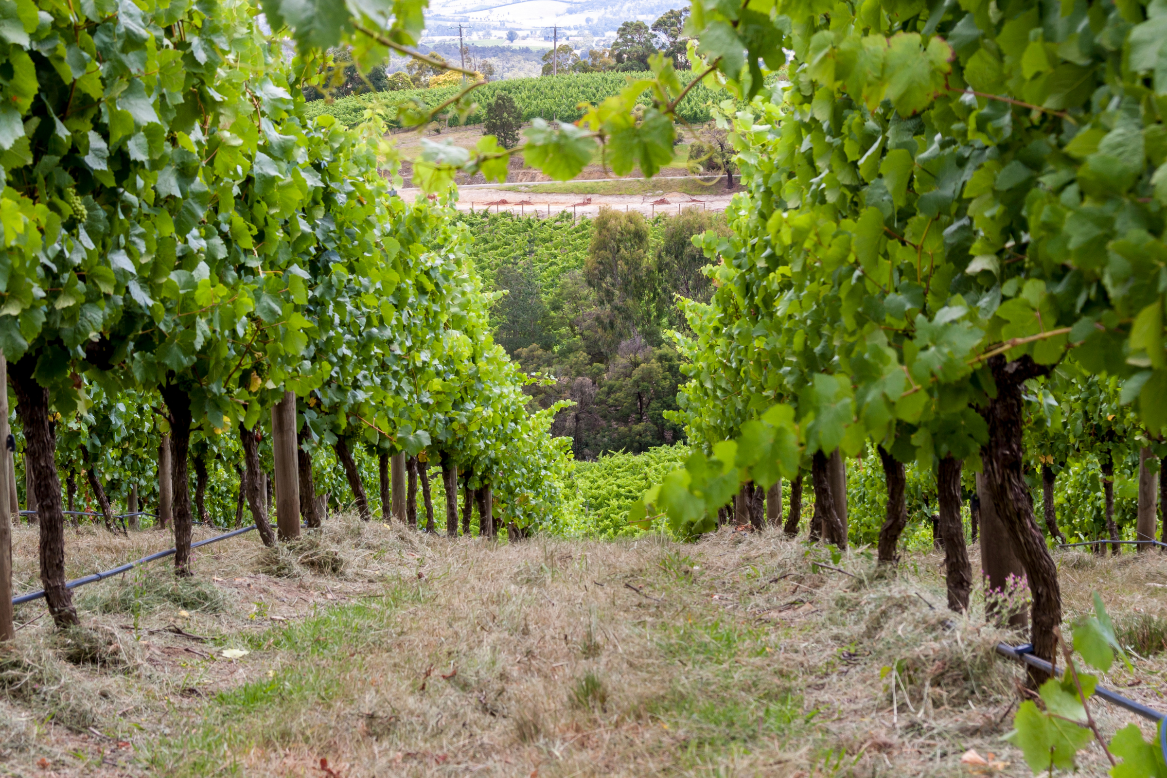 woomera, south australia (4).webp